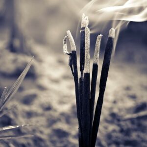 ENCENS