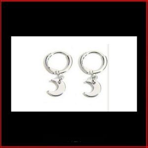 Boucles d'oreilles anneau acier argenté lune