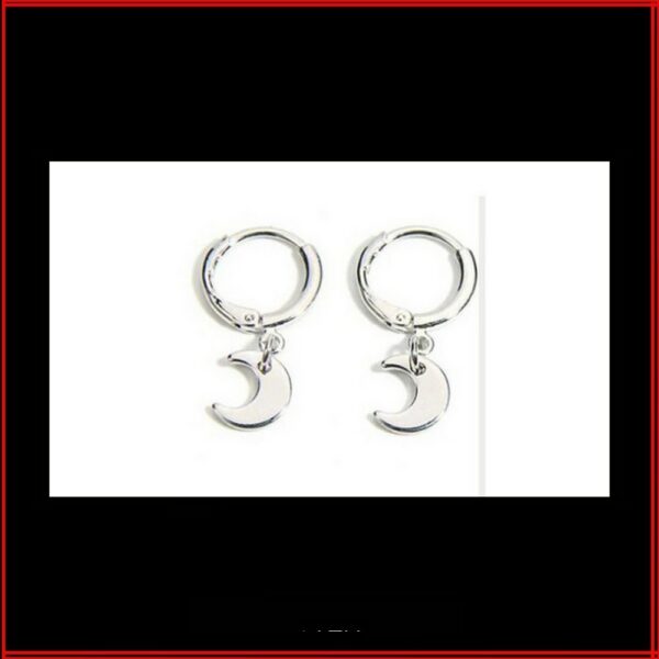 Boucles d'oreilles anneau acier argenté lune