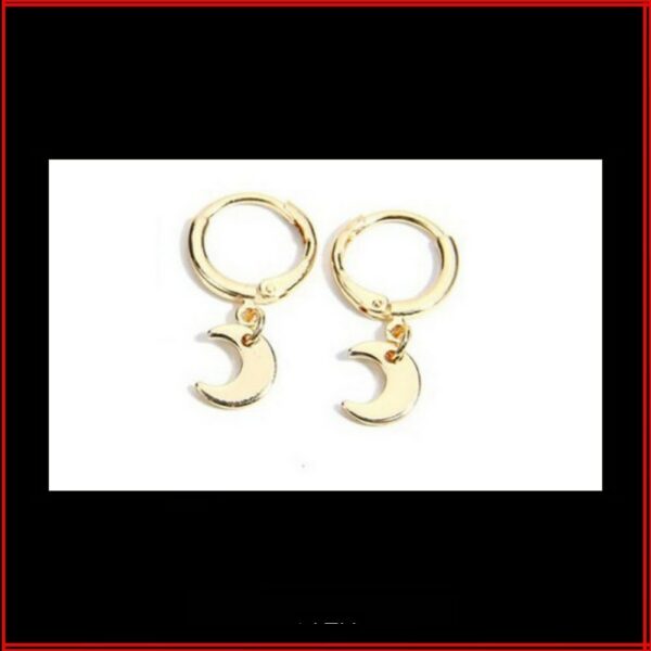 Boucles d'oreilles anneau acier doré lune