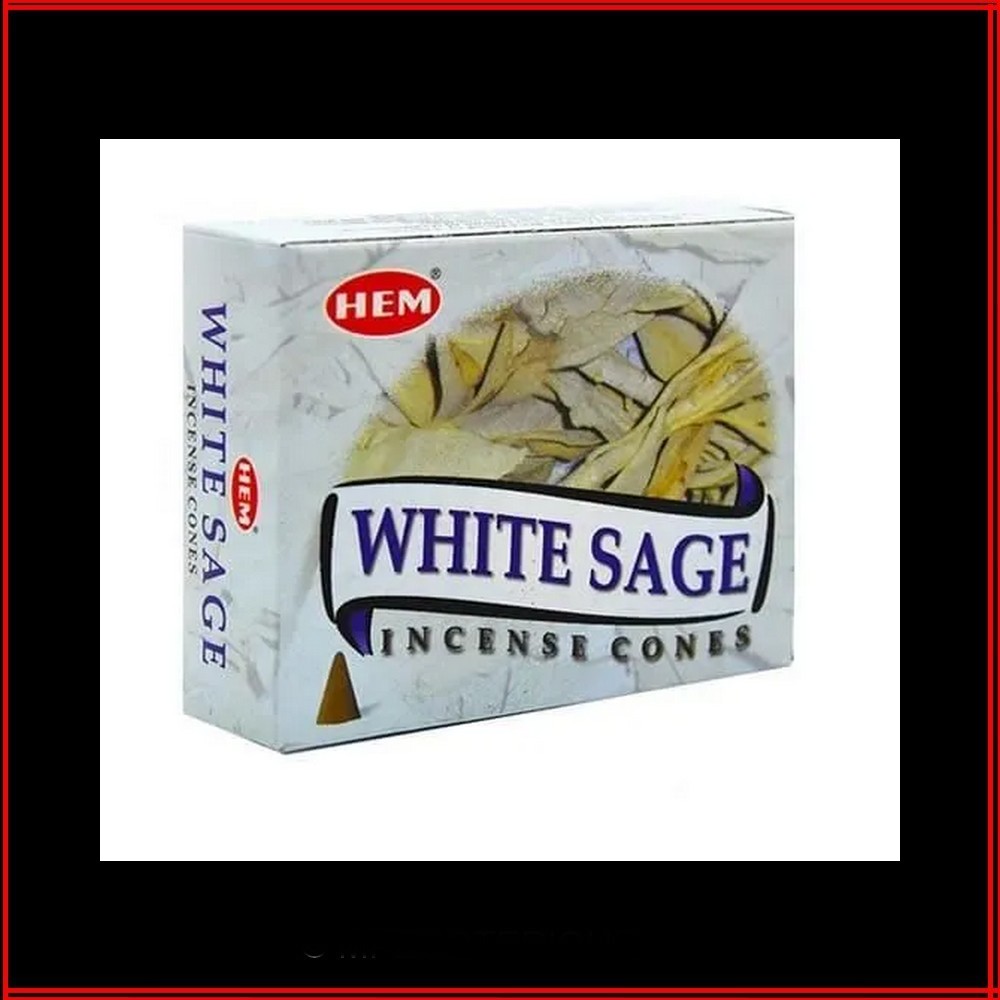 CONE ENCENS SAUGE BLANCHE HEM