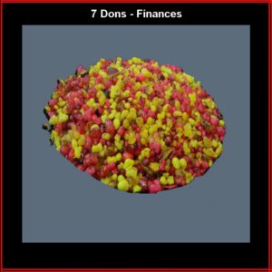 Encens grains 20 g sept dons